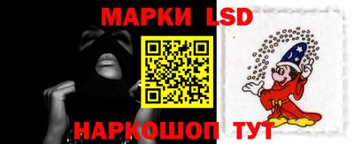 прущие грибы Нальчик