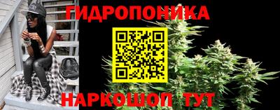прущие грибы Нальчик