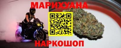 прущие грибы Нальчик