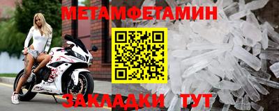 прущие грибы Нальчик