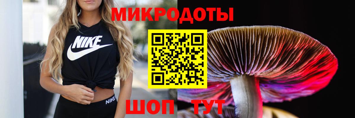 Воркута  купить   Вход с VPN  Псилоцибиновые грибы прущие грибы 